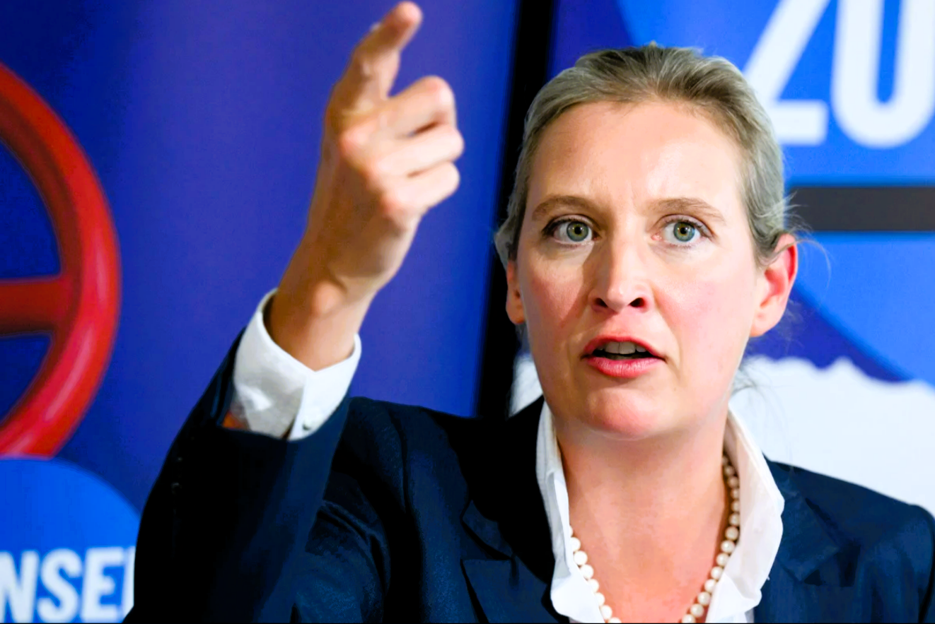 AFD-Skandal! Polizei ermittelt gegen Abgeordneten - das soll er getan haben: