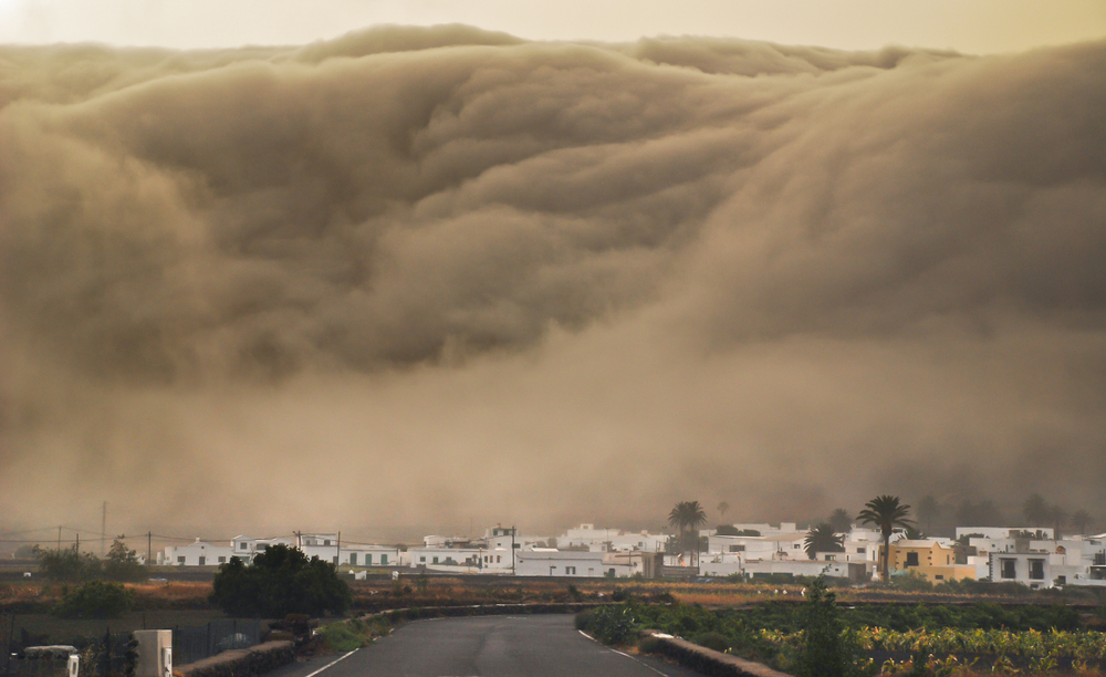 Massive Wave Sweeps Tourists into the Ocean! Spanish Island Turns into Nightmare