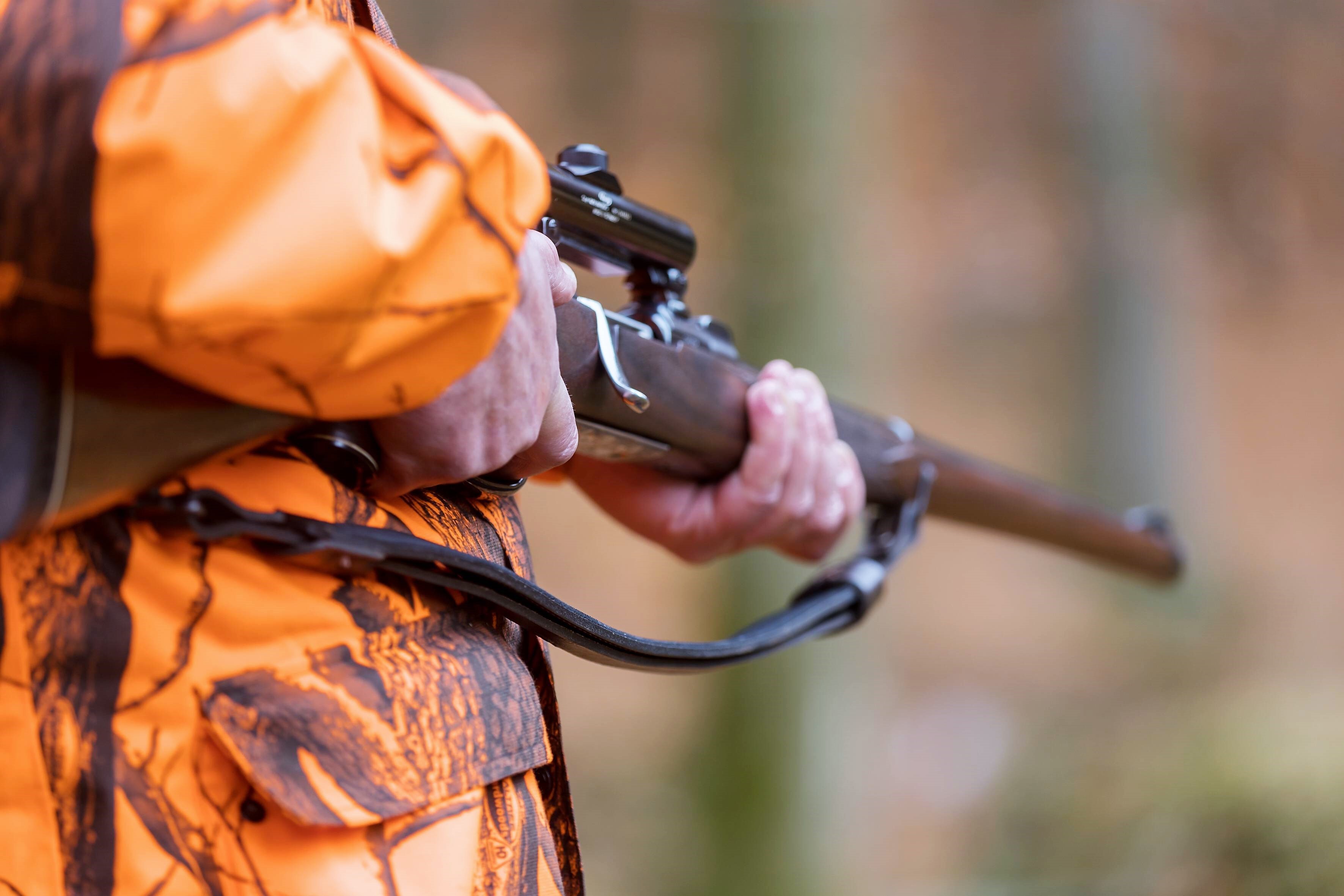 Killer-Wolf getötet! Er soll mindestens 76 Tiere gerissen haben - Jetzt haben Jäger den Rüden erlegt