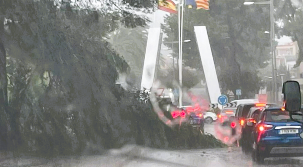 Unwetterchaos auf Mallorca! Flüge gestrichen, Wasser bricht im Flughafen ein - 